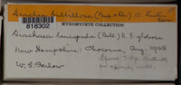 Image Associated With the Occurence